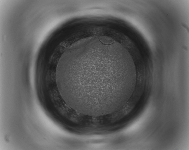 X0000103160383200809051705