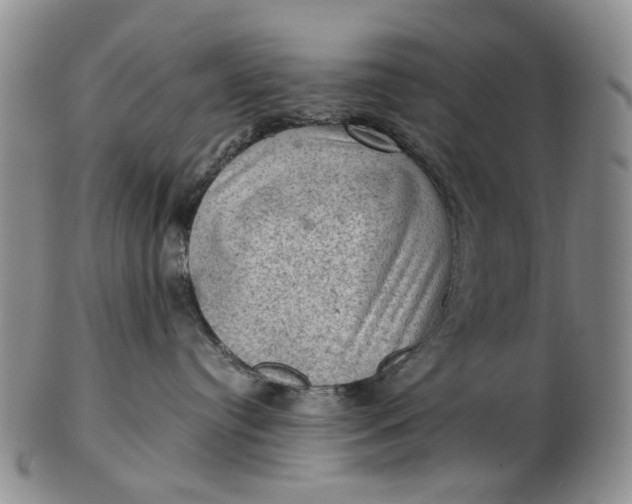 X0000103160384200809051705