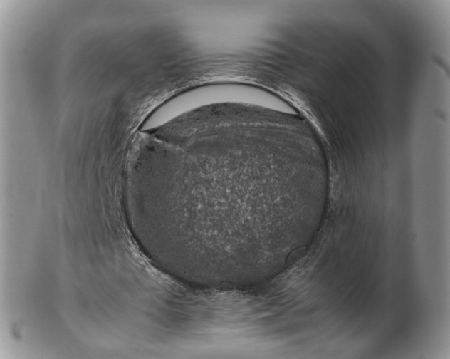 X0000103160385200809051704