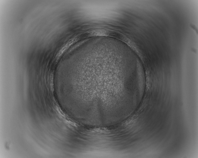 X0000103160386200809051704