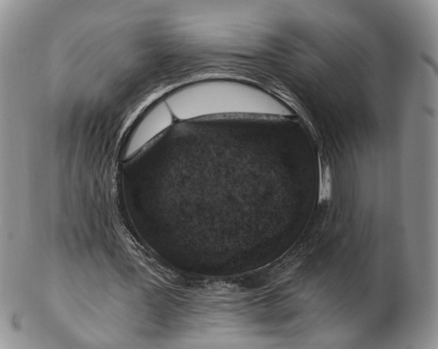 X0000103160387200809051704