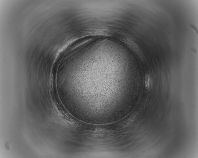 X0000103160388200809051704