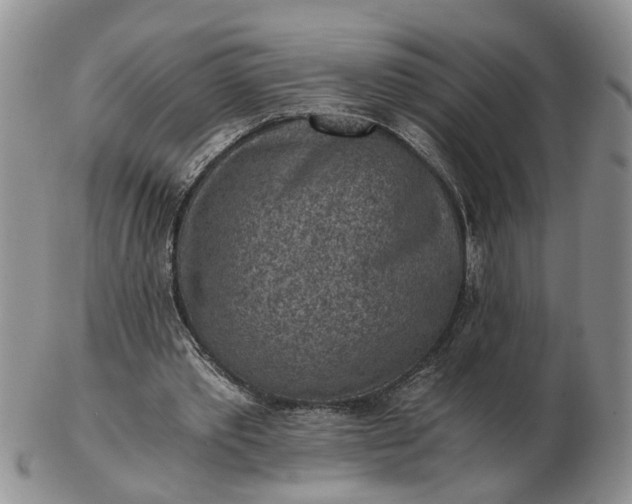 X0000103160389200809051704