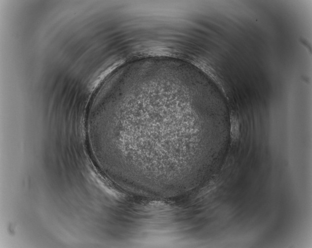 X0000103160390200809051704