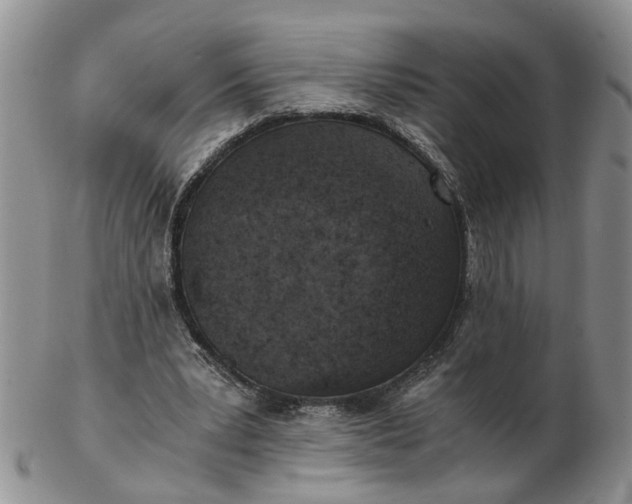 X0000103160391200809051704