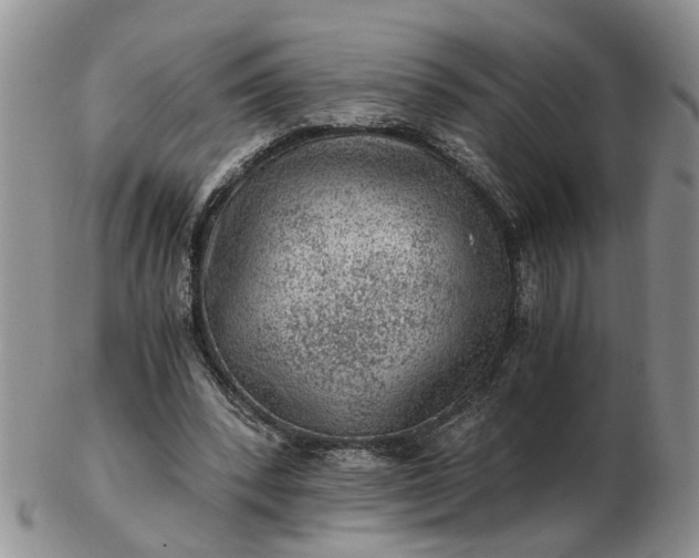 X0000103160392200809051704