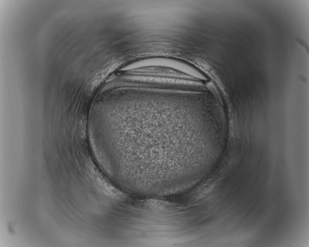 X0000103160393200809051704