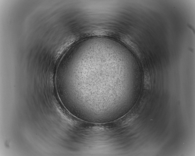 X0000103160394200809051704