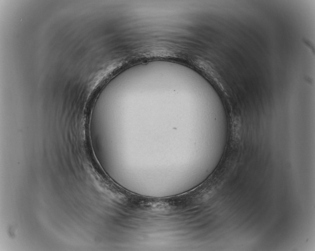 X0000103160395200809051704