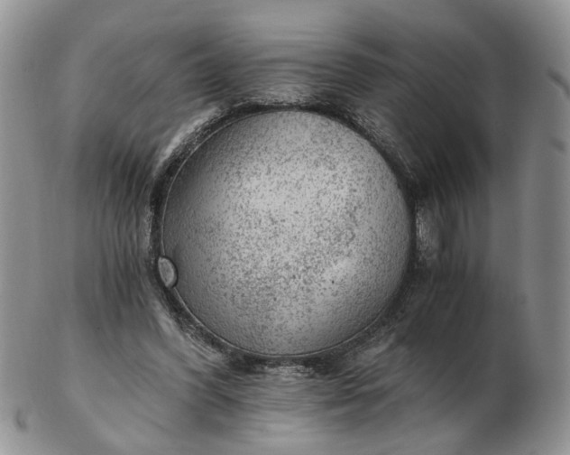 X0000103160396200809051704