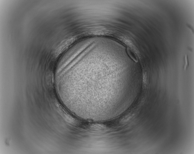 X0000103160397200809051704