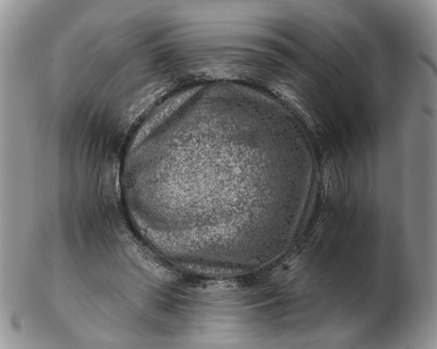 X0000103160398200809051704