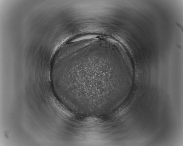 X0000103160399200809051704