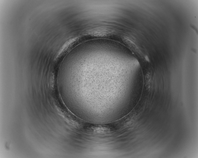 X0000103160400200809051704