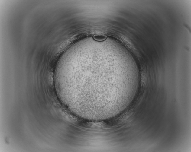 X0000103160401200809051704