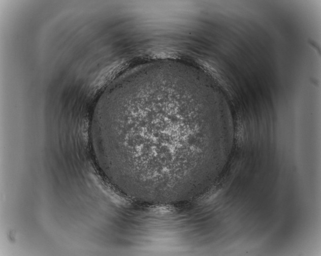 X0000103160402200809051704