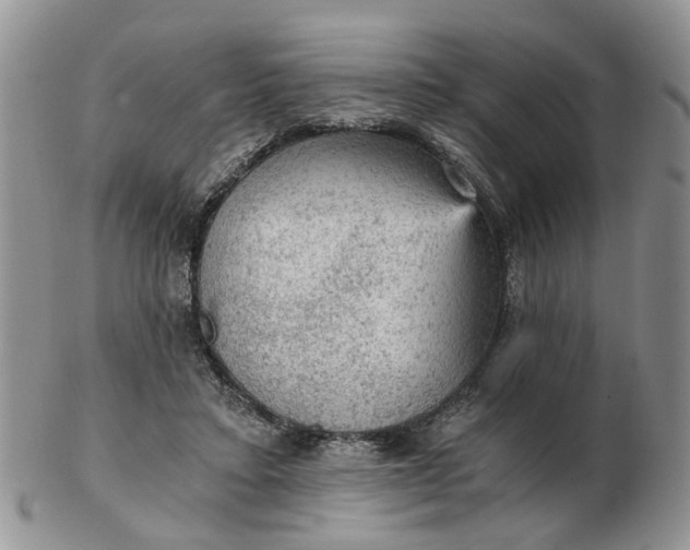 X0000103160403200809051704