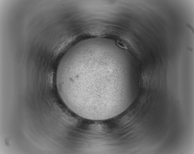 X0000103160404200809051704