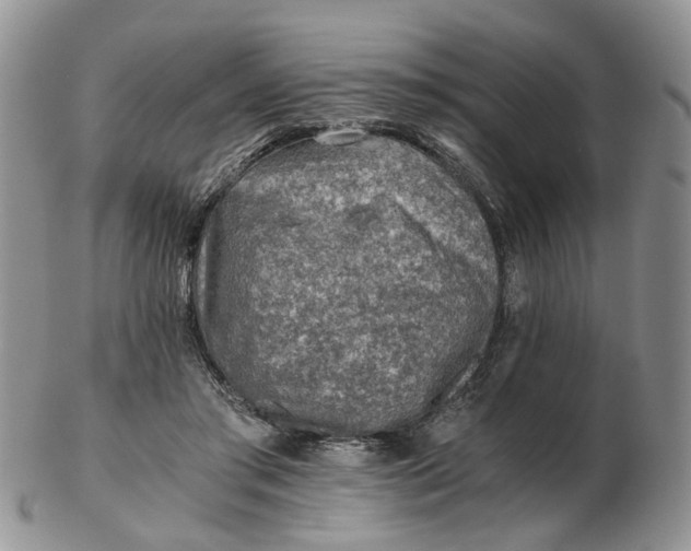 X0000103160405200809051704