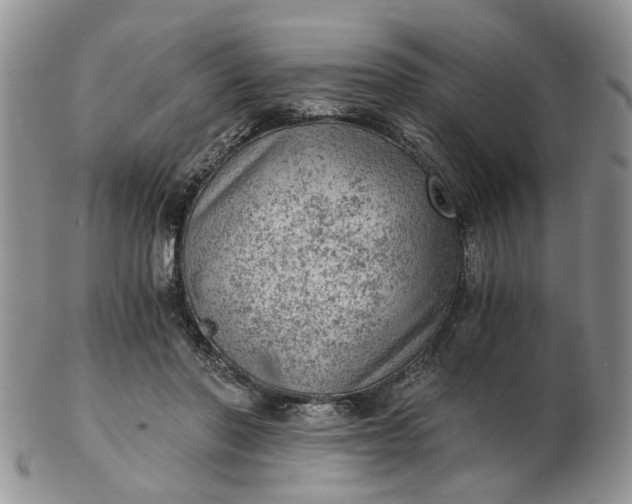 X0000103160406200809051704