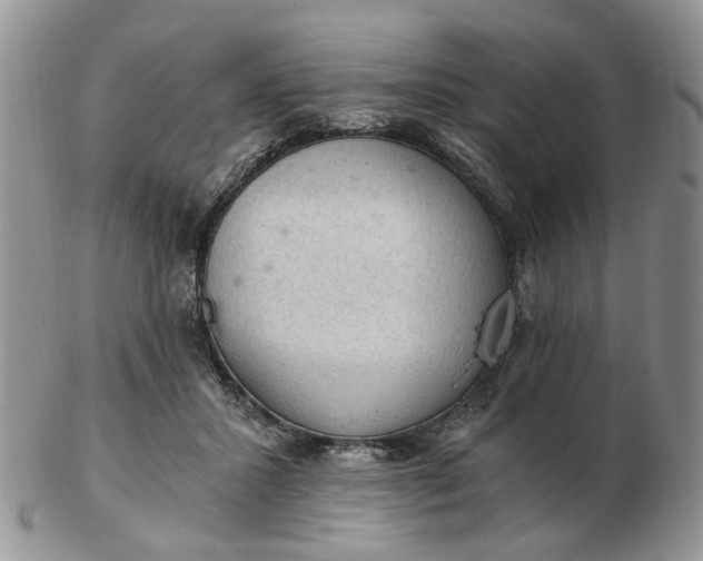 X0000103160407200809051704