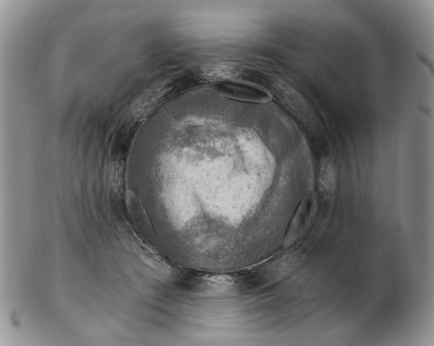 X0000103160409200809051704