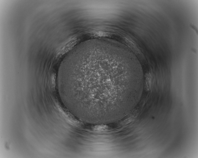 X0000103160410200809051704