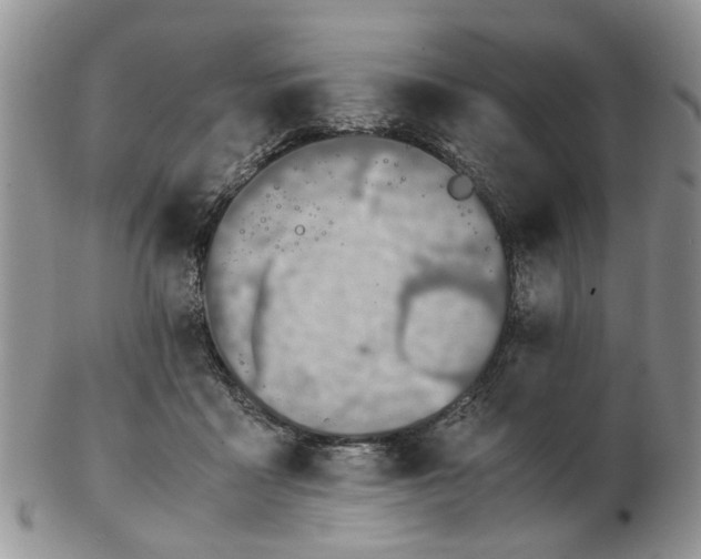 X0000103160411200809051704