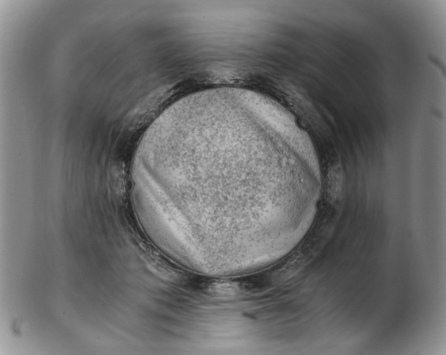 X0000103160413200809051704