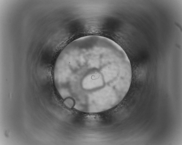 X0000103160415200809051704