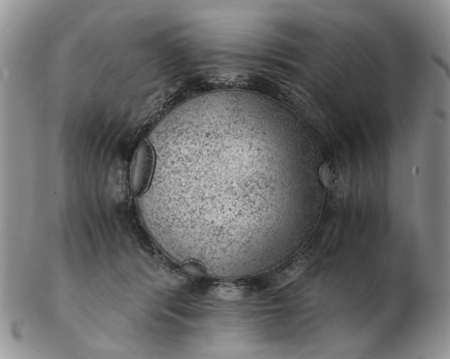 X0000103160416200809051704