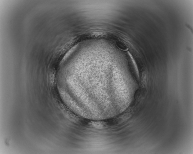 X0000103160417200809051704