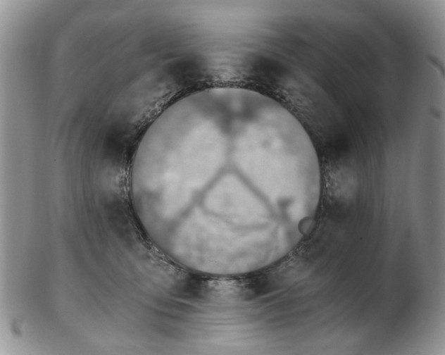 X0000103160419200809051704