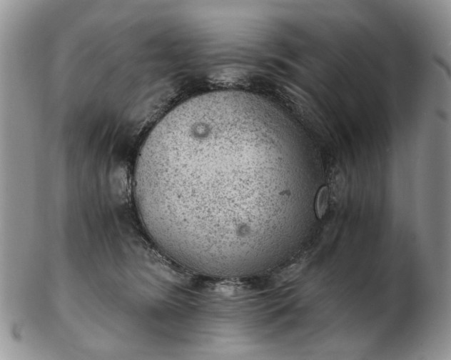 X0000103160420200809051704