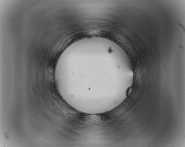 X0000103160421200809051704