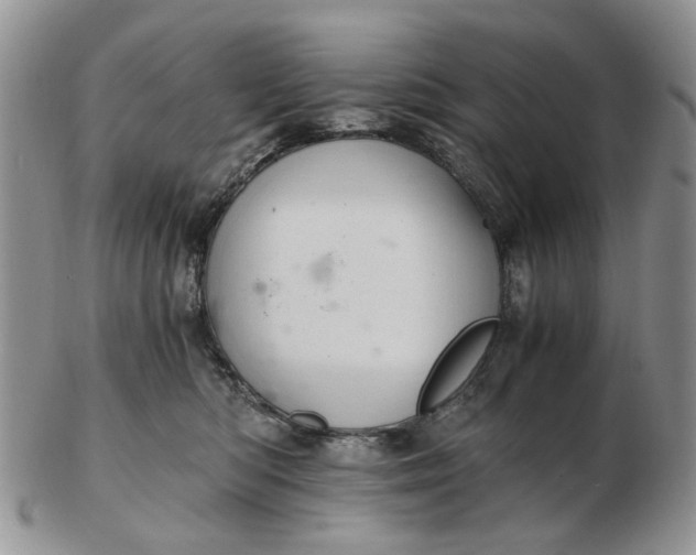 X0000103160422200809051704