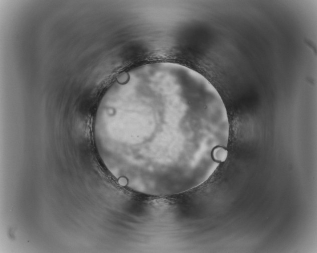 X0000103160423200809051704