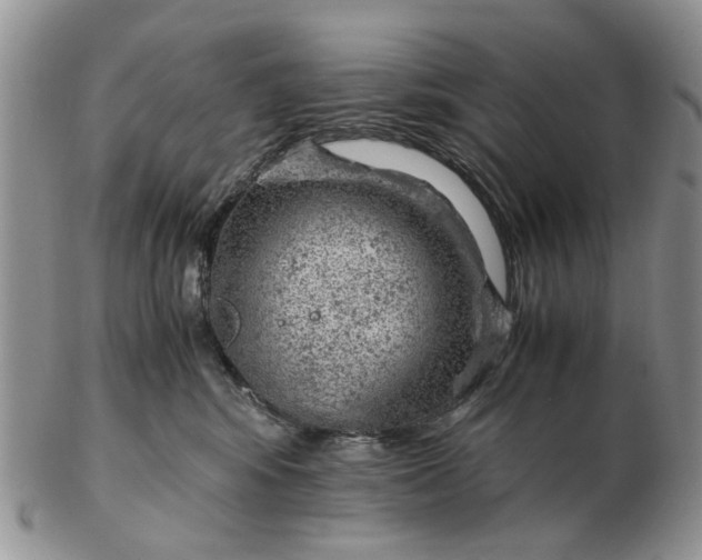 X0000103160424200809051704