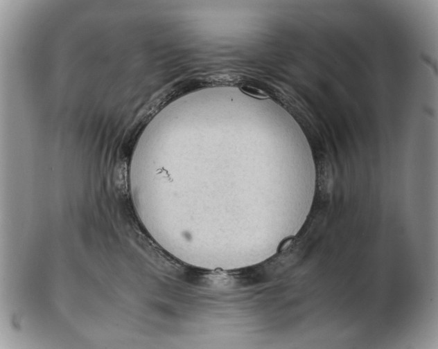 X0000103160425200809051704