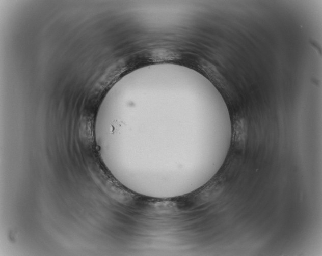 X0000103160426200809051704