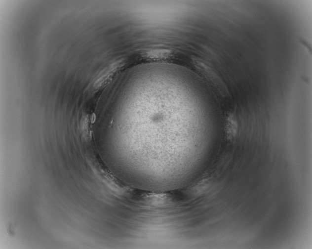 X0000103160428200809051703