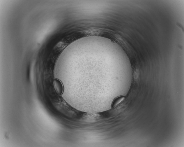 X0000103160429200809051703