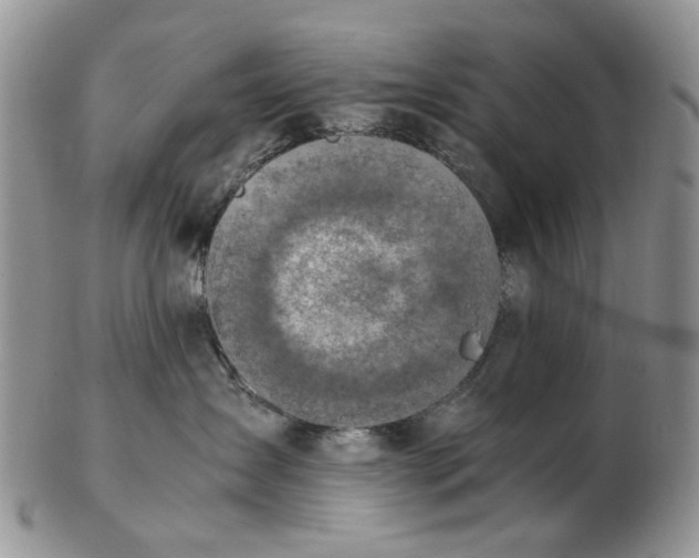 X0000103160431200809051703