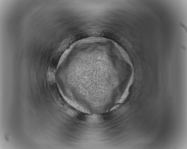 X0000103160432200809051703