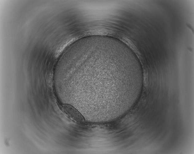 X0000103160434200809051703