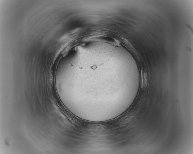 X0000103160435200809051703