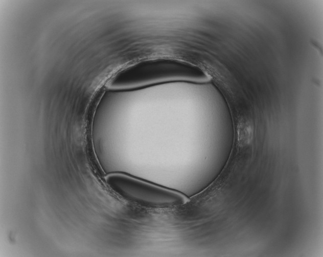 X0000103160436200809051703