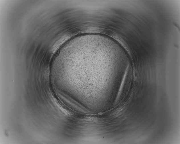 X0000103160437200809051703