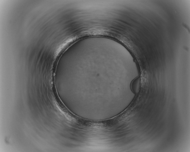 X0000103160438200809051703