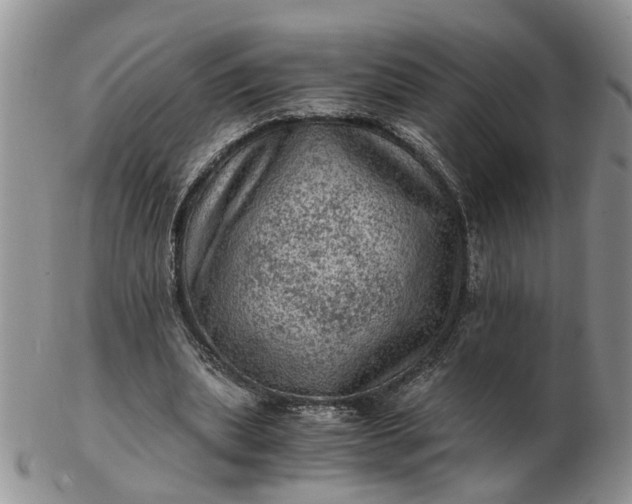 X0000103160439200809051703